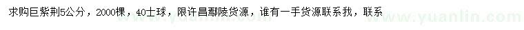 求購5公分巨紫荊