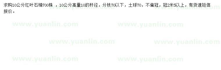 求購高10公分量桿徑10公分紅葉石楠