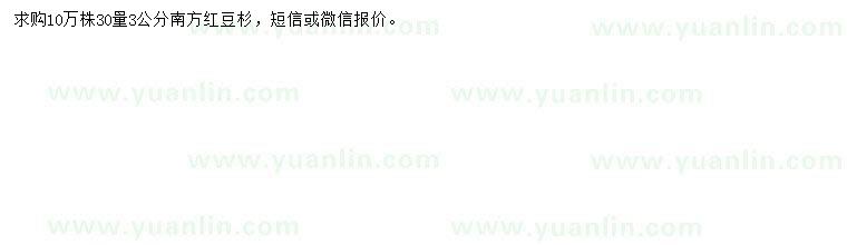 求購30量2公分南方紅豆杉
