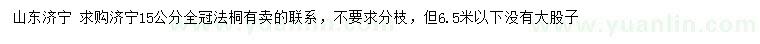 求購(gòu)15公分全冠法桐