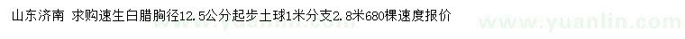 求購胸徑12.5公分起步速生白臘