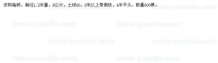 求購胸徑1.2米量8公分榆樹