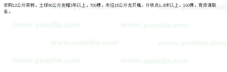 求購12公分欒樹、米徑15公分龍爪槐