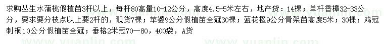 求購叢生水蒲桃、單桿香樟、蘋婆等