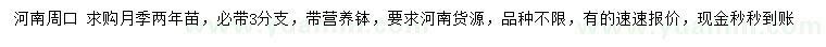 求購月季兩年苗