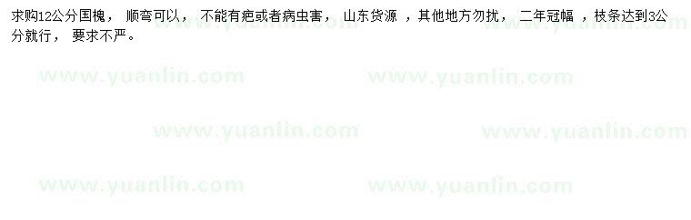 求購12公分國槐