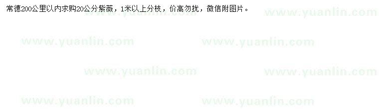 求購20公分紫薇
