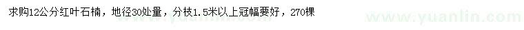 求購地徑30處量12公分紅葉石楠