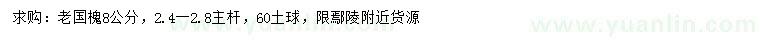 求購8公分老國槐