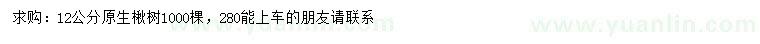 求購(gòu)12公分原生楸樹