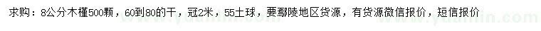 求購8公分木槿