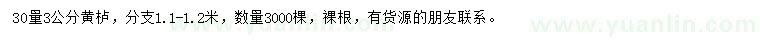求購30量3公分黃櫨