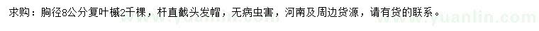 求購胸徑8公分復(fù)葉槭