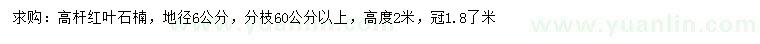 求購地徑6公分高桿紅葉石楠
