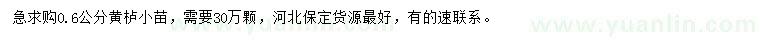 求購(gòu)0.6公分黃櫨小苗