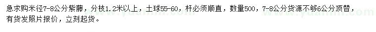 求購米徑7-8公分紫藤