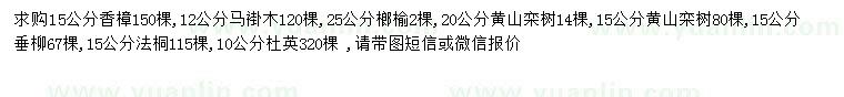 求購(gòu)香樟、馬褂木、榔榆等