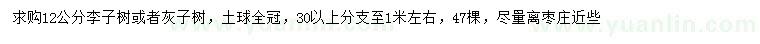 求購(gòu)12公分李子樹