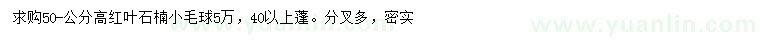 求購(gòu)高50公分紅葉石楠小毛球