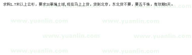 求購1.7米以上云杉
