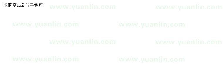 求購(gòu)高15公分旱金蓮