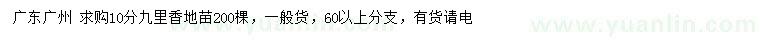 求購(gòu)10公分九里香地苗