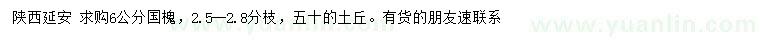 求購6公分國槐
