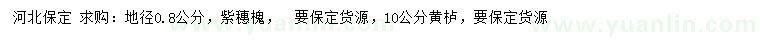 求購地徑0.8公分紫穗槐、10公分黃櫨
