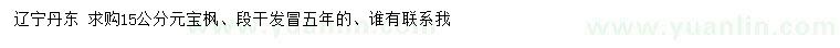 求購(gòu)15公分元寶楓