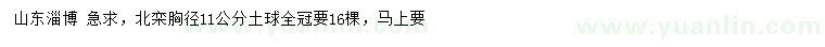 求購胸徑11公分北欒