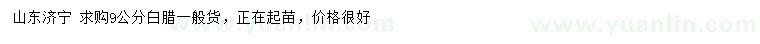 求購9公分白臘