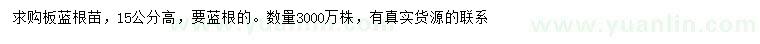求購(gòu)高15公分板藍(lán)根
