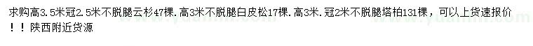 求購(gòu)云杉、白皮松、塔柏