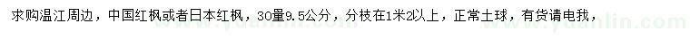 求購30量9.5公分中國紅楓或者日本紅楓