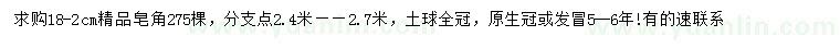 求購(gòu)18-20公分精品皂角