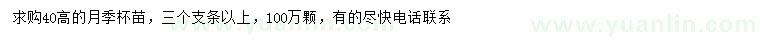 求購高40公分月季