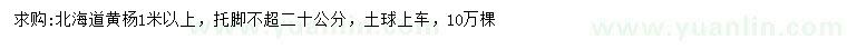 求購1米以上北海道黃楊
