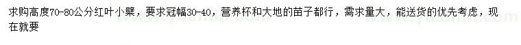 求購高70-80公分紅葉小檗
