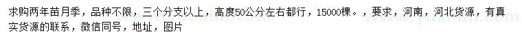 求購高50公分左右月季