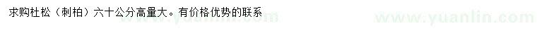 求購高60公分杜松（刺柏）
