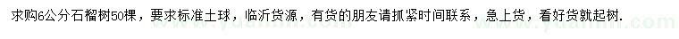 求購6公分石榴樹