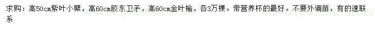 求購紫葉小檗、膠東衛(wèi)矛、金葉榆