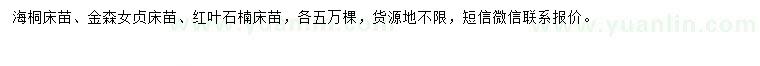 求購海桐床苗、金森女貞床苗、紅葉石楠床苗