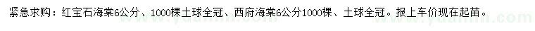 求購(gòu)6公分紅寶石海棠、西府海棠