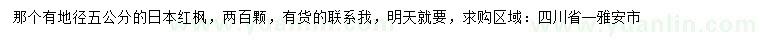 求購地徑5公分日本紅楓