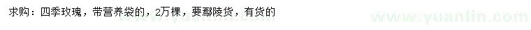 求購四季玫瑰