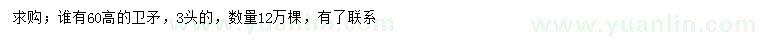 求購高60公分衛(wèi)矛