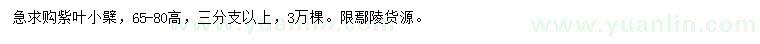求購高65-80公分紫葉小檗