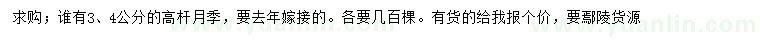 求購3、4公分高桿月季