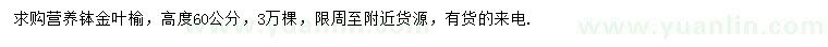 求購(gòu)高60公分金葉榆